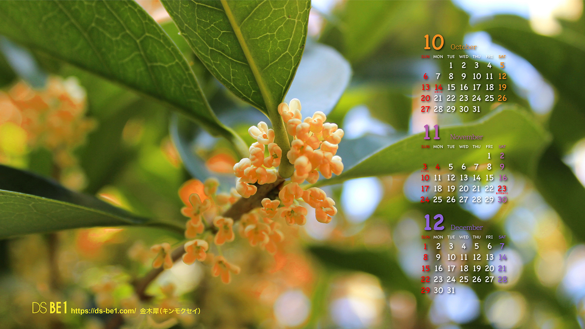 ビーワン 季節の壁紙カレンダー３ヶ月付 2019年10月 パソコン