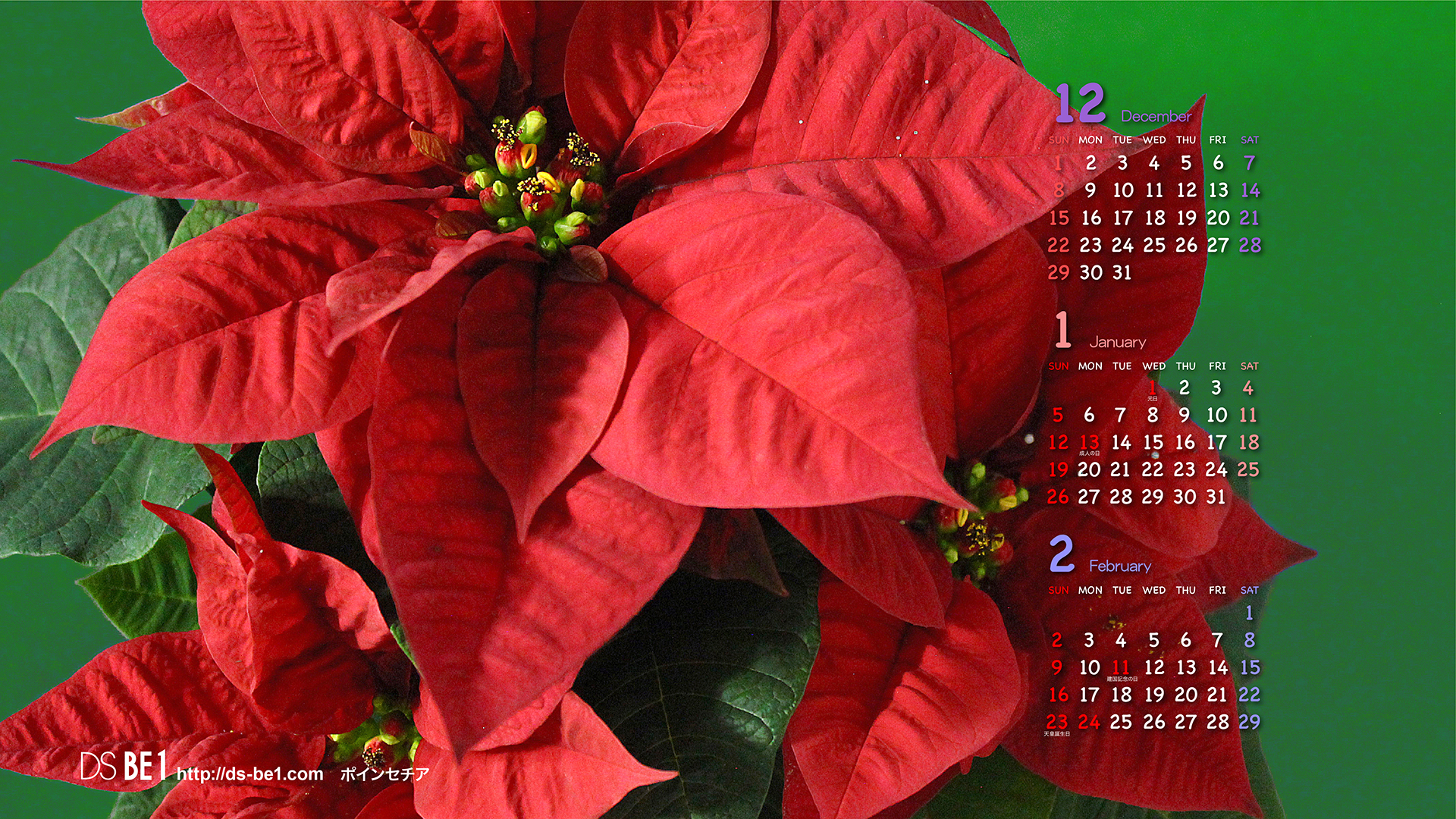 ビーワン 季節の壁紙カレンダー３ヶ月付 2019年12月 パソコン