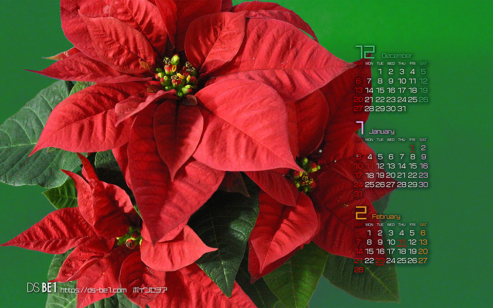 ビーワン 季節の壁紙カレンダー３ヶ月 年 パソコンデスクトップ スマホ用 ダウンロード無料 フリー
