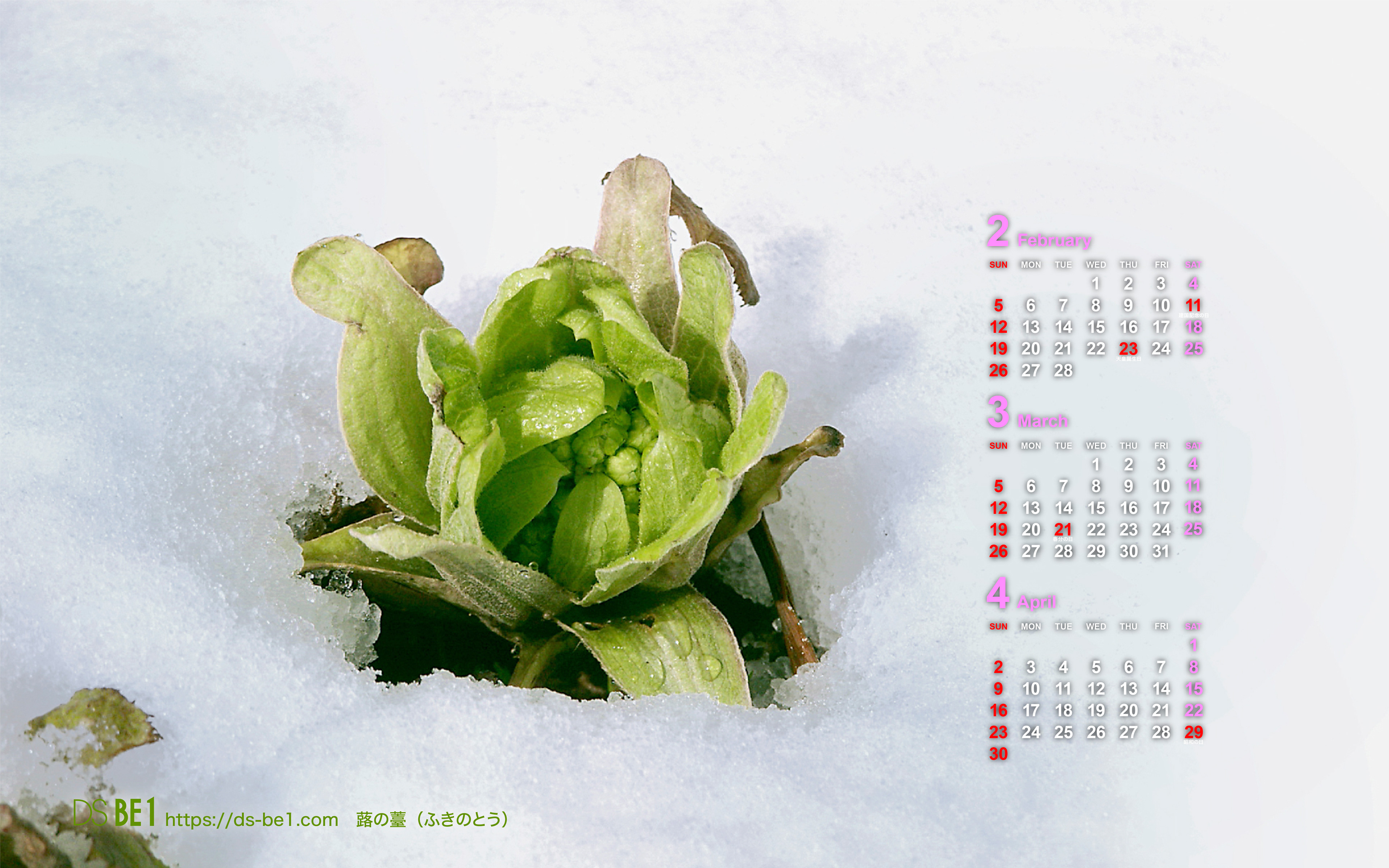 ビーワン 季節の壁紙カレンダー３ヶ月付・2023年、パソコン